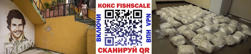 Кокаин Эквадор  дарк нет какой сайт  Орск 