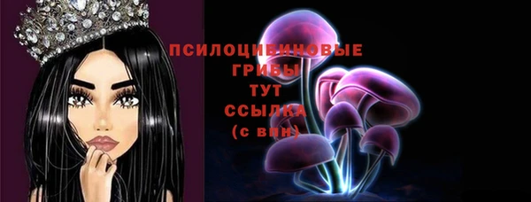твердый Абинск