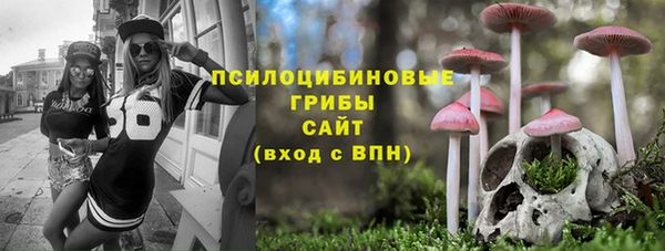 твердый Абинск