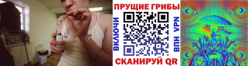 сколько стоит  Орск  Галлюциногенные грибы Cubensis 